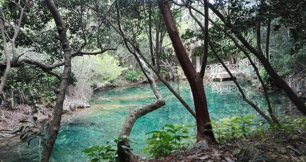 Reserva Ecologica Ojos Indigenas